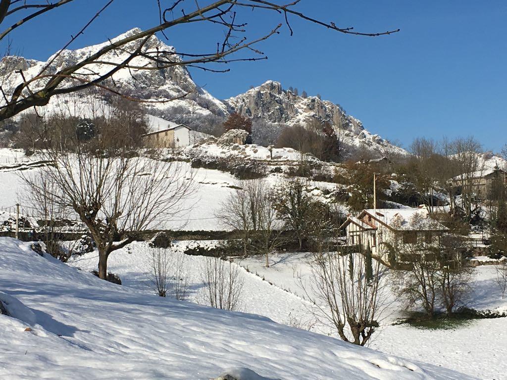Azcárate Casa Rural Balerdiゲストハウス エクステリア 写真